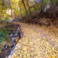 نظافتچی آقا هستم شبانه روز در خدمتم