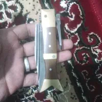 چاقوی دم ماهی