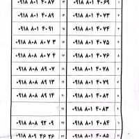 0918-80-80-781|سیم‌کارت|همدان, |دیوار