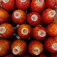 آب زرشک آلبالو انار آبمیوه طبیعی ذغال اخته شاتوت