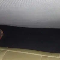 سیستم صوتی|سیستم صوتی خانگی|گنبد کاووس, |دیوار