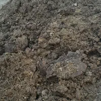 دو تریلی کود حیوانی