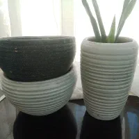 گلدان سفالی|گل و گیاه طبیعی|بومهن, |دیوار