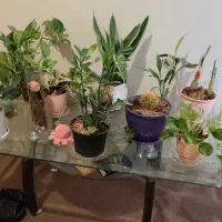 میز جلو مبلی شیشه ای