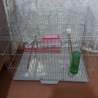 قفس پرنده|لوازم جانبی حیوانات|اهواز, مجاهد|دیوار