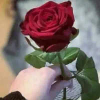 خط قدیمی داعم