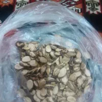 بذرهندوانه