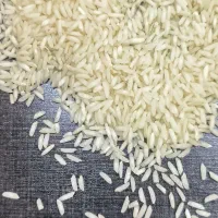 طارم محلی شمال قیمت قبل