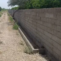 باغچه درخت دار برقدار در دزفول|فروش زمین و ملک کلنگی|اهواز, گلستان|دیوار