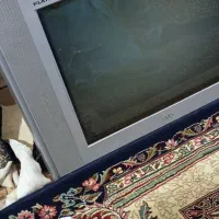 تلویزیون ال جی سری اولی اصلی۲۱اینچ|تلویزیون و پروژکتور|ریگان, |دیوار