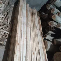 قیدمبلی سپیداری|عمده‌فروشی|مشهد, کشف|دیوار