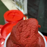 رب گوجه خانگی درجه یک