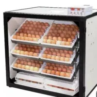 دستگاه جوجه کشی اسکندری