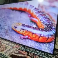 ال ای دی 55 اینچ هوشمند کره ای سامسونگ