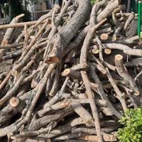 خریدارچوب درختان خیس وخشک صنعتی وزغالی