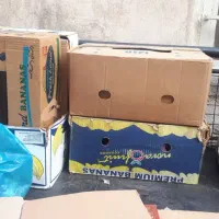 کارتون مخصوص اسباب کشی