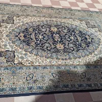 فرش و گلیم فرش ۶متری|فرش|شیراز, درکی|دیوار
