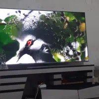 فروش تلوزیون ۶۵ اینچ