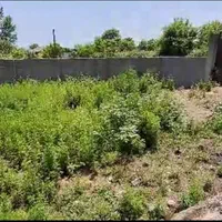 فروش زمین مسکونی ۵۰۰متری در قلعه‌بین لیسار|فروش زمین و ملک کلنگی|لیسار, |دیوار