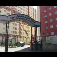 استخدام خدماتی