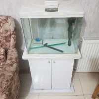 آکواریوم ماهیران|ماهی|تهران, سازمان برنامه جنوبی|دیوار