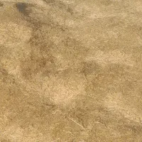 فروش کاه