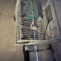 قفس پرنده بسیار محکم فروشی