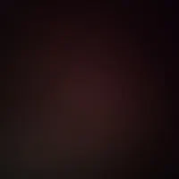 تلفن همراه