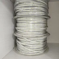 ریسه شلنگی