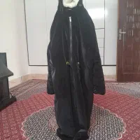 پالتوبارانی