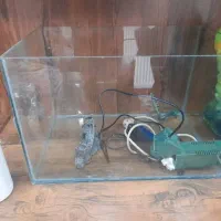 اکواریوم فروش فوری