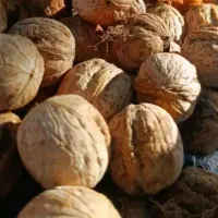 300کیلو گردو درجه یک به ضمانت