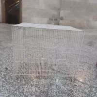 قفس پرنده