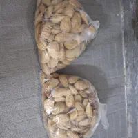 بادام درختی نصف کاغذی نصف دیمه امسالی