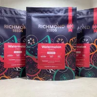 بذر هندوانه گرد صادراتی پترا