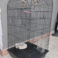 قفس پرنده