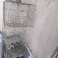 فروش تعدادی قفس