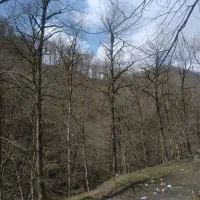 ۲۰هزارمترسوله قدیمی منطقه ۱۶نازی اباد