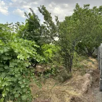 فروش باغچه ۳۴۰ متری بااقساط بلندمدت|فروش زمین و ملک کلنگی|رباطکریم, انجم آباد|دیوار