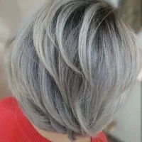 مدل برای رنگو لایت