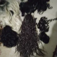 آرایش|آرایشی، بهداشتی، درمانی|تربت جام, جامرود|دیوار