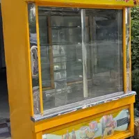 یخچال ایستاده ویترینی مغازه فروشگاه کبابی قصابی