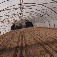 گلخانه فروشی ۳۵۰متر|عمده‌فروشی|تربت جام, میان جام|دیوار