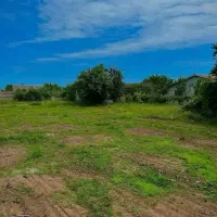زمین-کشاورزی-هکتاری