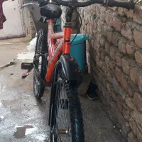 دوچرخه ۲۶ تنه بلند