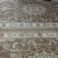 قالی ها فروشی 6متری