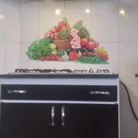 هود با گاز