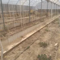 فروش سازه آماده گلخانه