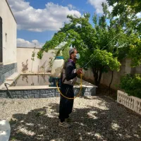 سمپاشی و هرس باغبانی