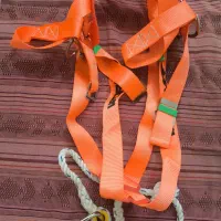 کربند‌ایمنی